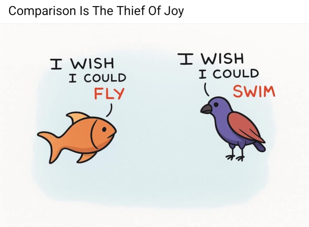 Illustration of a fish wishing it could fly and a bird wishing it could swim beneath the words Comparison Is The Thief Of Joy